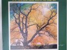 The FAMILY TREE LP cheri modern soul gospel boogie SEALED LISTEN