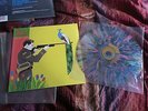 Fun. - Aim & Ignite (Original Press) LP vinyl Rainbow Splatter