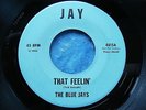 VERY RARE NORTHERN SOUL 45 THE BLUE JAYS -THAT FEELING / POINT OF VIEW on JAY