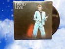 Rob Pruitt's HOLIDAY Market: DAVID LIVE by David Bowie (1974) *LP *VINYL *ICON