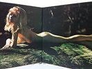 WILL HORWELL TRIO / NUDE IN THE NIGHT 2 LP Gatefold  JAPAN SEXY NUDE CHEESECAKE