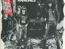 RAMONES   Sheena Is A Punk Rocker   mono (NM) PROMO picture sleeve   7
