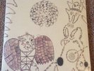 Devendra Banhart Rejoicing 2Xlp