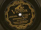 CANNON'S JUG STOMPERS - Springdale Blues  Victor 21351  E-