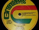 Pablo Gad Fly Away Home Killer Roots 12