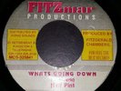 Half Pint Whats Going Down Killer Digi 7