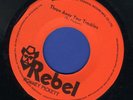 1132 ROMMEY PICKETT-RONNIE DAVIS-THROW AWAY YOUR TROUBLES-REBEL-1974 REGGAE 7