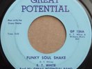 E.T. WHITE and GREAT POTENTIAL BAND   FUNKY SOUL SHAKE rare DC funk 45   HEAR