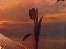 PRETTY THINGS Parachute Harvest LP HEAR Plays GREAT Clean sleeve