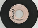 CARL DAWKINS(AS RAS DAWKINS & WALIERS)/ PICTURE ON THE WALL V.3 / 7''/ VG+