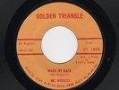 60s Va. Blues/R&B MR. WIGGLES Wash My Back/Home Boy GOLDEN TRIANGLE M- HEAR BOTH