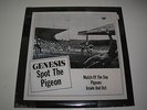 Genesis Spot The Pigeon 12