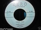 RARE ROCKABILLY TREE TOPS/JERRY DOELL 45 