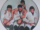 THE BEATLES YESTERDAY AND TODAY BUTCTHER COVER PICTURE DISC LP