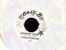 Plastic Blues Band - Country Food Records - Busy B Rec - WHITE LABEL PROMO 45