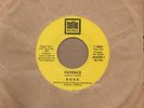 Rokk - Patience - Tollie 2nd