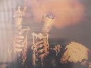 SEALED & RARE Pearl Jam-