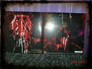 Die Toten Hosen Krach Der Republik 3 Vinyl LP + 2 CD Limited Editi. Nr. 1748 Neu