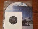 Eddie Vedder 'Into the Wild' PICTURE DISC LP w/ 7
