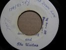 BOB MARLEY & THE WAILERS Bend Down Low TUFF GONG Blank Pre Rocksteady 7
