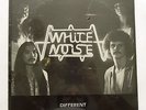 WHITE NOISE 