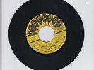 DUTCHESS/KNOCK OUT PUNCH  -  LYN TAITT AND THE COMETS ( 66  SKA INSTRUMENTAL 7