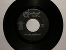 SOUL INC.   I BELONG TO NOBODY / LOVE ME WHEN I'M DOWN  ORIG. COUNTERPART GARAGE