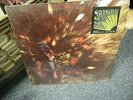 CREEDENCE CLEARWATER REVIVAL - BAYOU COUNTRY on FANTASY 8387 IN SHRINK, NICE