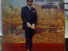 '79 REGGAE LP THE SOUND OF CHIEF CHECKER SOUNDED ORIGINAL ?