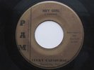 LUCKY CARMICHAEL Hey Girl Blues With A Feeling Pam Original R&B Soul 45 HEAR
