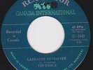 Canada Country Rockabilly Bopper 45 - TED DAIGLE - Labrador Retriever