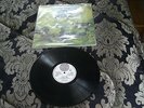 Dr Strangely Strange 'Heavy Petting' Original UK Vertigo - Brilliant Album