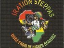 IRATION STEPPAS Dubz From De Higher Regionz DUBHEAD VINYL LP Dennis Rootical Dub