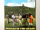 REGGAE IN THE GRASS - VARIOUS - STUDIO ONE - ROCKSTEADY - REGGAE - LISTEN