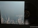 Shins Inverted World LP 2001 Sub Pop SP 550 1st Press Portland Indie Rock