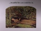 RAPP, Tom (PEARLS BEFORE SWINE) - Beautiful Lies You Could Live In - Vinyl (LP)