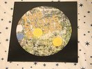 THE STONE ROSES -  PICTURE DISC LP VINYL NEW MINT 1989 UNPLAYED VERY RARE