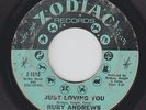 Northern Soul 45 - Ruby Andrews - Just Loving You - Zodiac - mp3