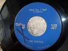 NW Garage Band, The Pastels, What Can I Say? / Why Don't You Love Me?, VG, 1965
