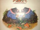 MATCHING MOLE   CBS S 64850  STEREO  ENGLAND