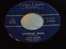 Hear Rare Blues Rocker 45: Little Luther   Du Dee Squat & Steppin' High Criss Cr