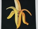 RON ENGLISH ANDY WARHOL BANANA ART COVER DANDY WARHOL PROMOTIONAL LP N.MINT RARE