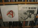 TYRANNOSAURUS REX One Inch Rock DEMO ONLY 7