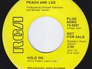 ARLIS PEACH & LARRY LEE Hold On RARE powerpop 7
