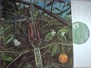 LP DRAGONFLY same US Megaphone ORIGINAL COPY # ms-1202 PSYCHEDELIC CLASSIC