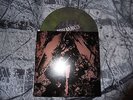 NEW LTD CONVERGE NAPALM DEATH SPLIT 7
