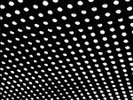 Bloom * by Beach House (Vinyl, May-2012, 2 Discs, Sub Pop (USA))
