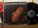 MUDDY WATERS LP 
