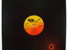 MADROCK We Funk The Best / Wild Thang 12