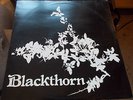 BLACKTHORN  SELF TITLED - 1971 WHM WHM 1921 - A2 / B2 - RARE ORIGINAL FEMVOX EX+